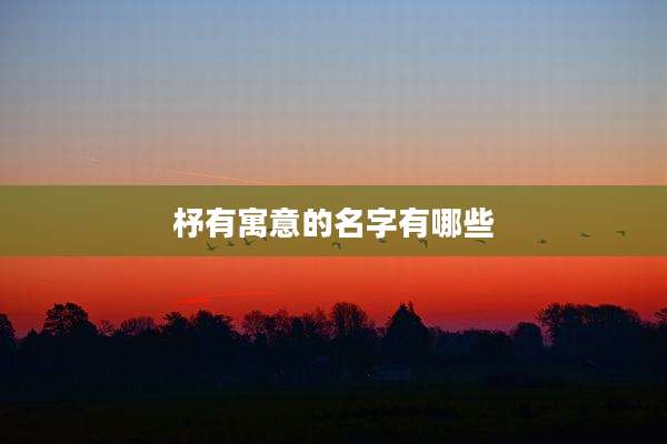 杼有寓意的名字有哪些