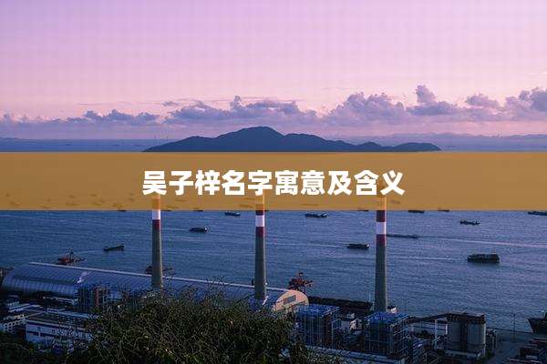 吴子梓名字寓意及含义