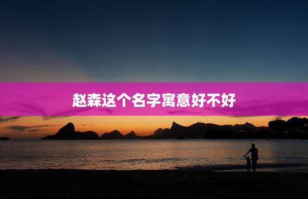 赵森这个名字寓意好不好