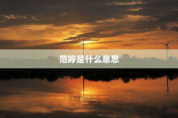 范婷是什么意思