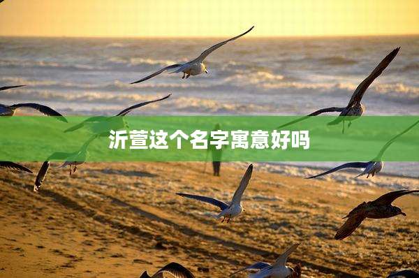 沂萱这个名字寓意好吗