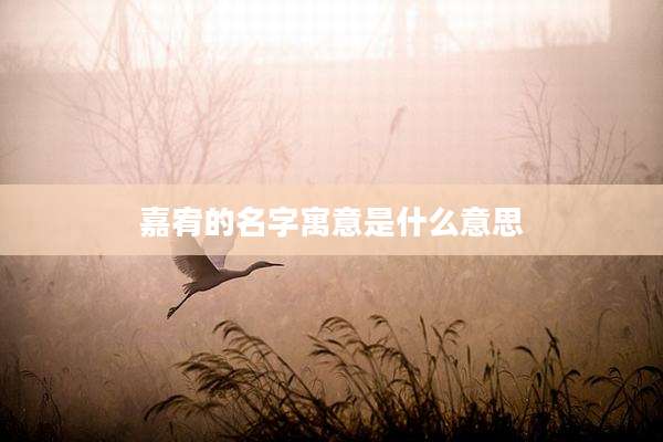 嘉宥的名字寓意是什么意思