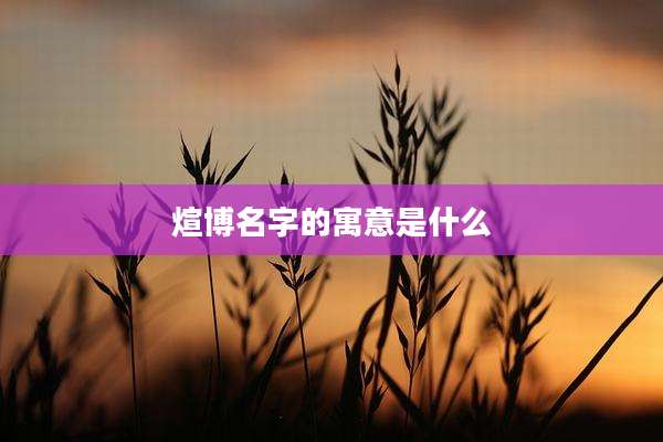 煊博名字的寓意是什么