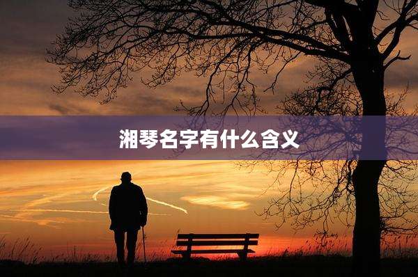 湘琴名字有什么含义