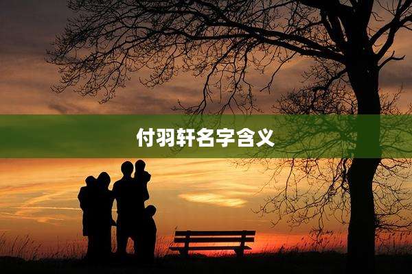 付羽轩名字含义