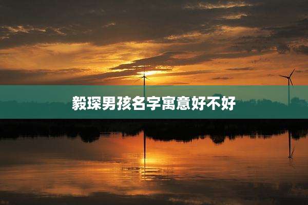 毅琛男孩名字寓意好不好