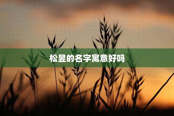 松昱的名字寓意好吗