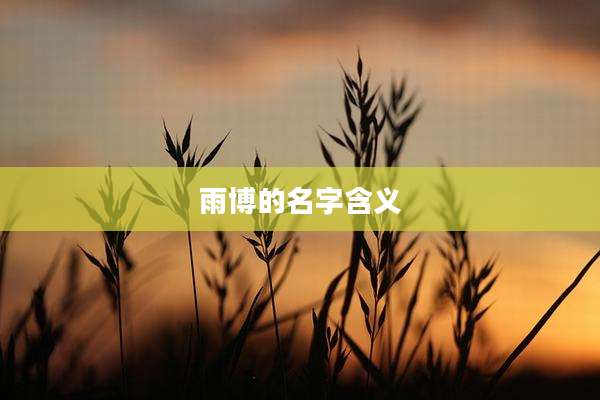 雨博的名字含义