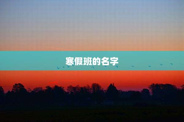 寒假班的名字