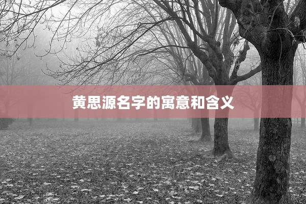 黄思源名字的寓意和含义