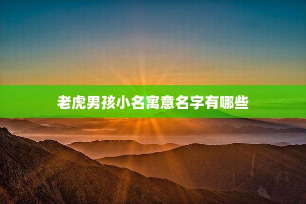 老虎男孩小名寓意名字有哪些