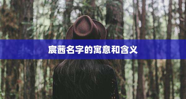 宸茜名字的寓意和含义