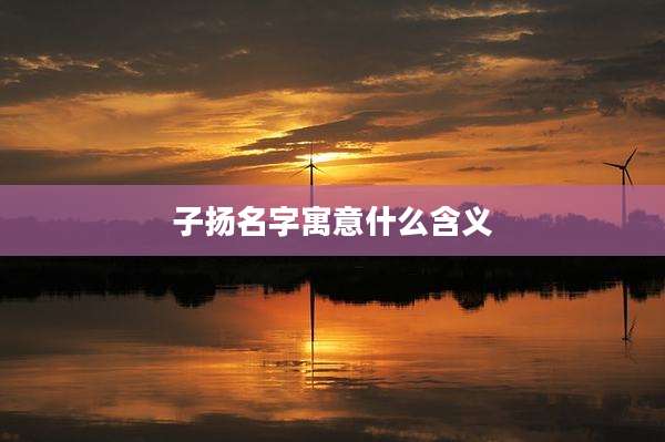子扬名字寓意什么含义