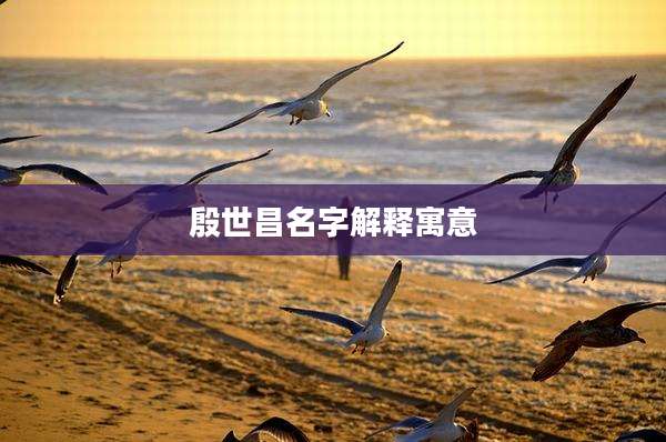 殷世昌名字解释寓意