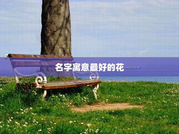 名字寓意最好的花