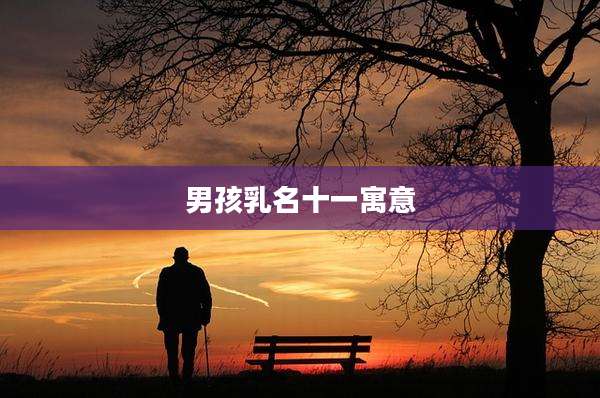 男孩乳名十一寓意