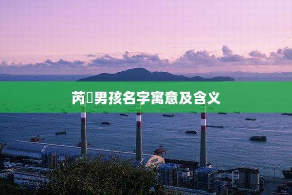 芮瑄男孩名字寓意及含义