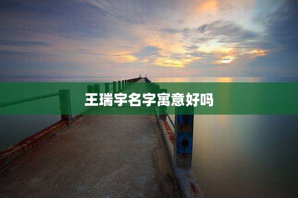 王瑞宇名字寓意好吗