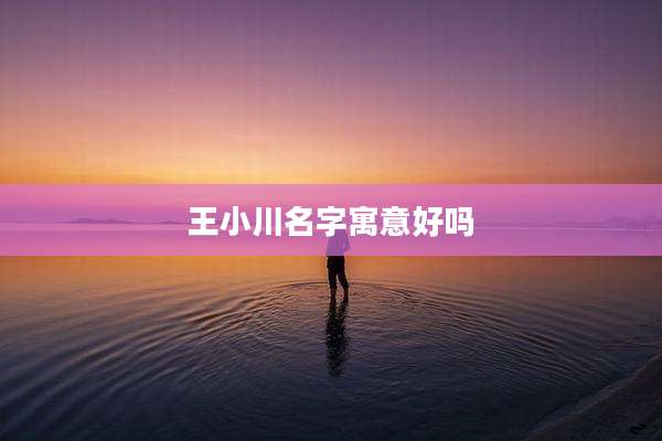 王小川名字寓意好吗
