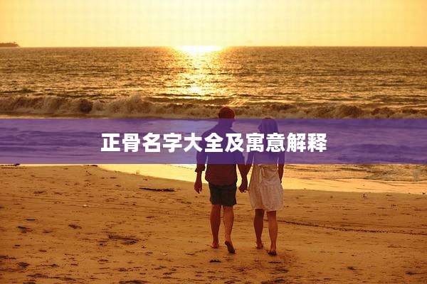 正骨名字大全及寓意解释
