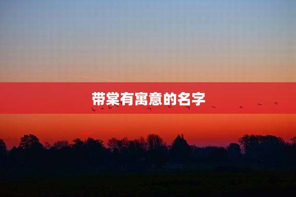 带棠有寓意的名字