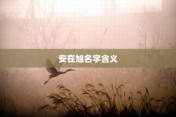 安在旭名字含义
