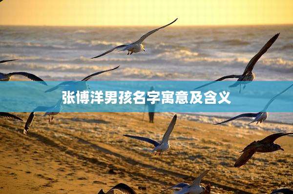 张博洋男孩名字寓意及含义