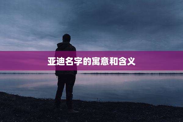 亚迪名字的寓意和含义