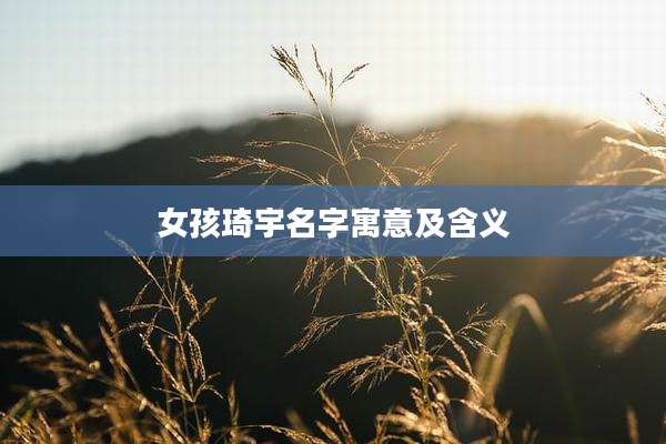 女孩琦宇名字寓意及含义