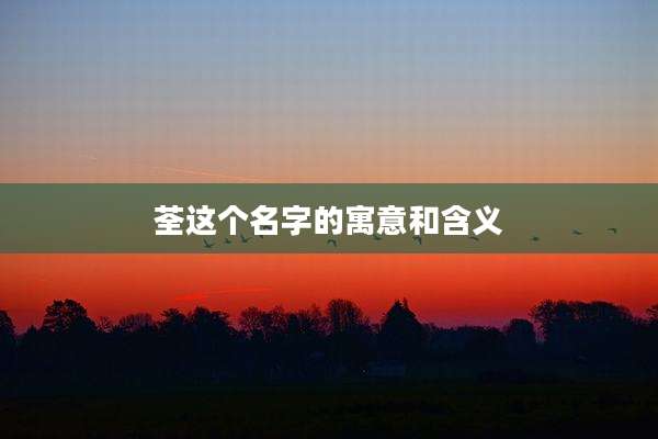 荃这个名字的寓意和含义