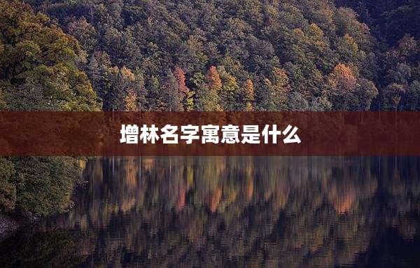 增林名字寓意是什么