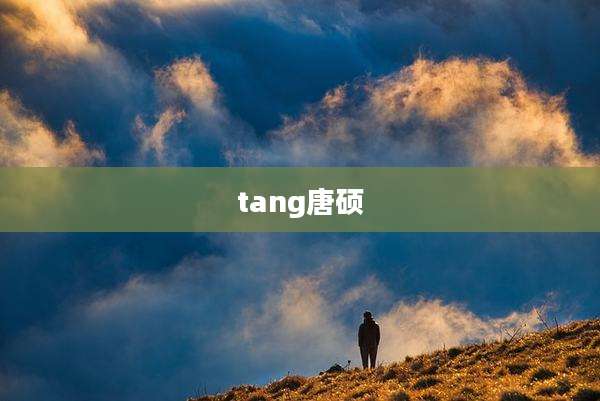 tang唐硕