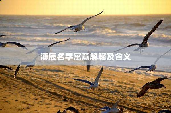 溥辰名字寓意解释及含义