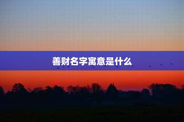 善财名字寓意是什么