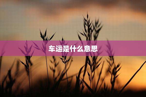 车运是什么意思