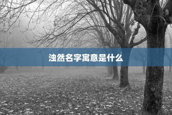 浊然名字寓意是什么