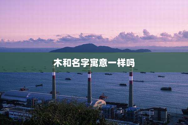 木和名字寓意一样吗