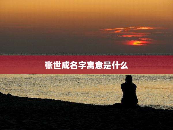 张世成名字寓意是什么