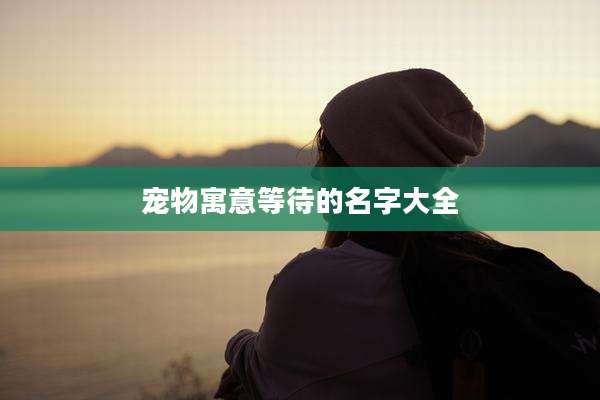 宠物寓意等待的名字大全