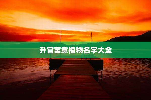 升官寓意植物名字大全