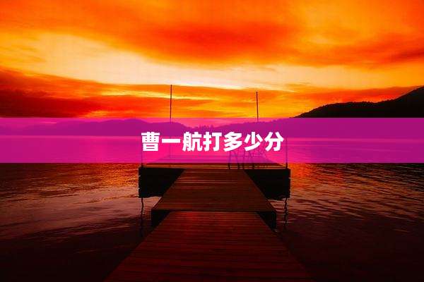 曹一航打多少分