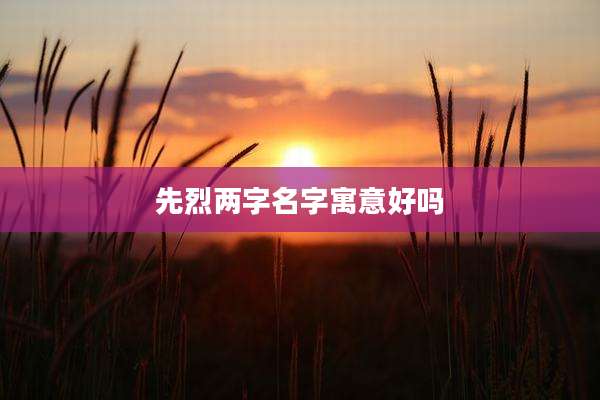 先烈两字名字寓意好吗