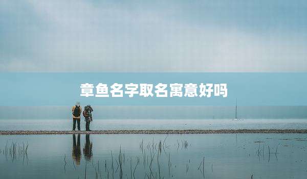 章鱼名字取名寓意好吗