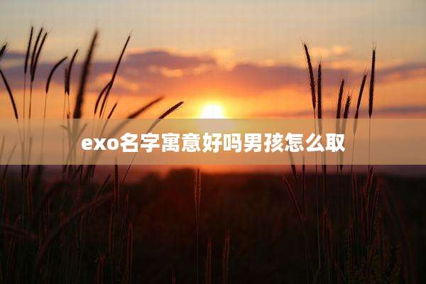 exo名字寓意好吗男孩怎么取