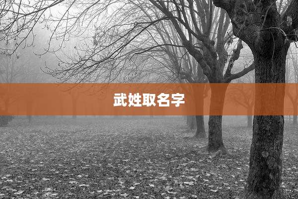 武姓取名字