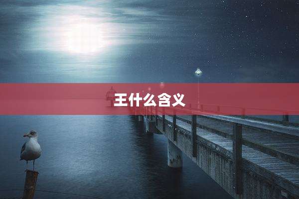 王什么含义