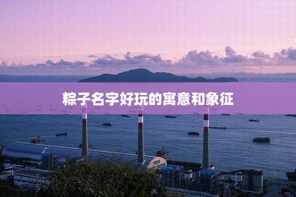 粽子名字好玩的寓意和象征