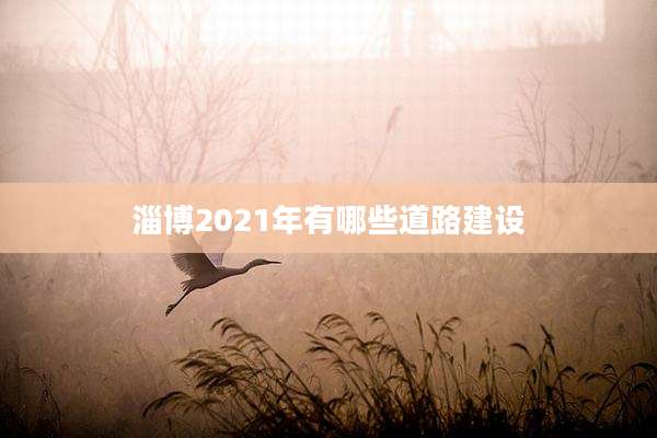 淄博2021年有哪些道路建设
