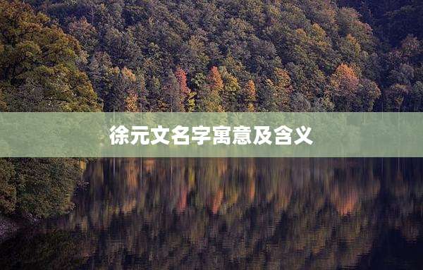 徐元文名字寓意及含义