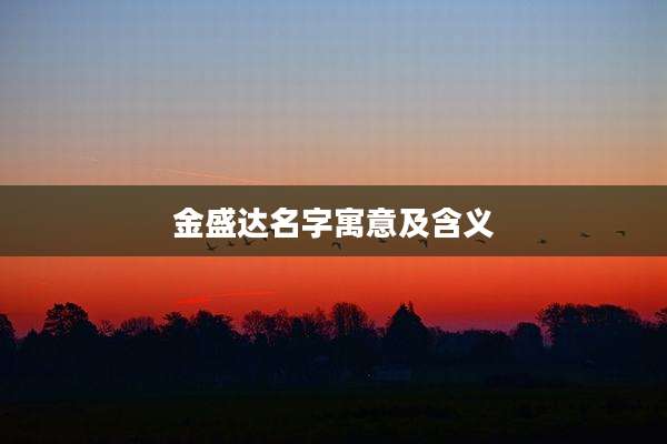 金盛达名字寓意及含义